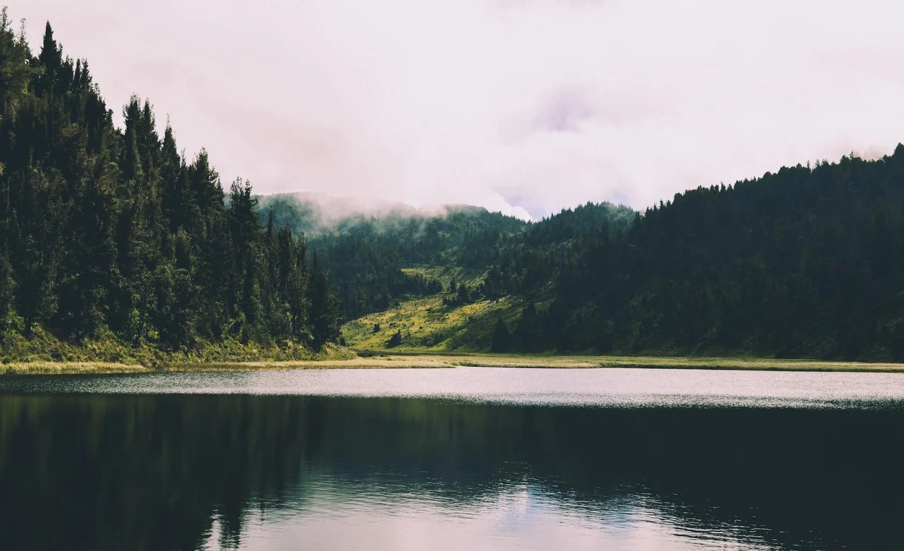 Mountain backdrop